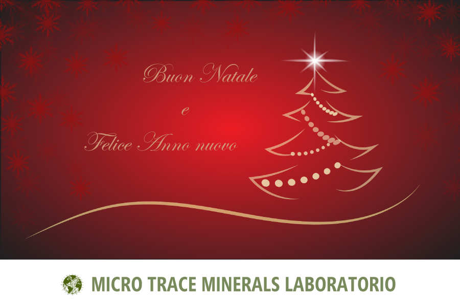Buone Feste da MTM | Micro Trace Minerals!